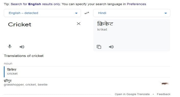 Cricket Ko Hindi Mein Kya Kahate Hain Google Translate के अनुसार